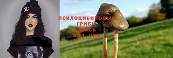 молекула духа Балахна